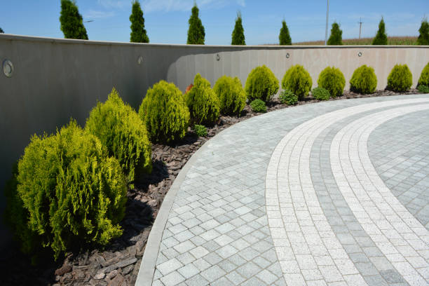 Best Affordable Driveway Pavers  in Bayonet Point, FL